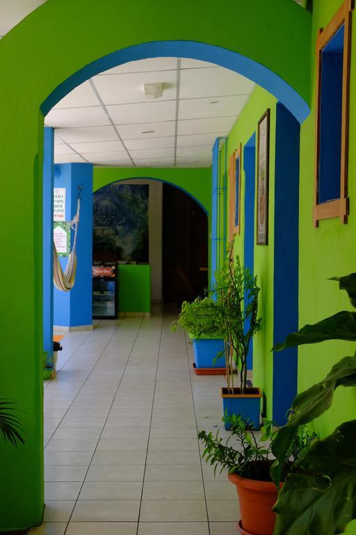 Hostal Casa Verde Santa Ana Luaran gambar